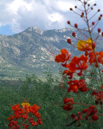 Miraval Resort